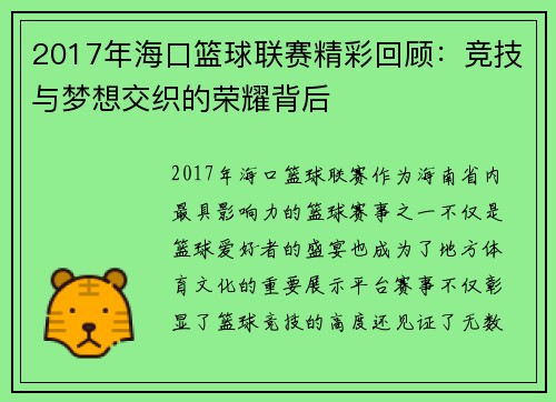 2017年海口篮球联赛精彩回顾：竞技与梦想交织的荣耀背后