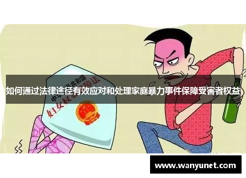 如何通过法律途径有效应对和处理家庭暴力事件保障受害者权益